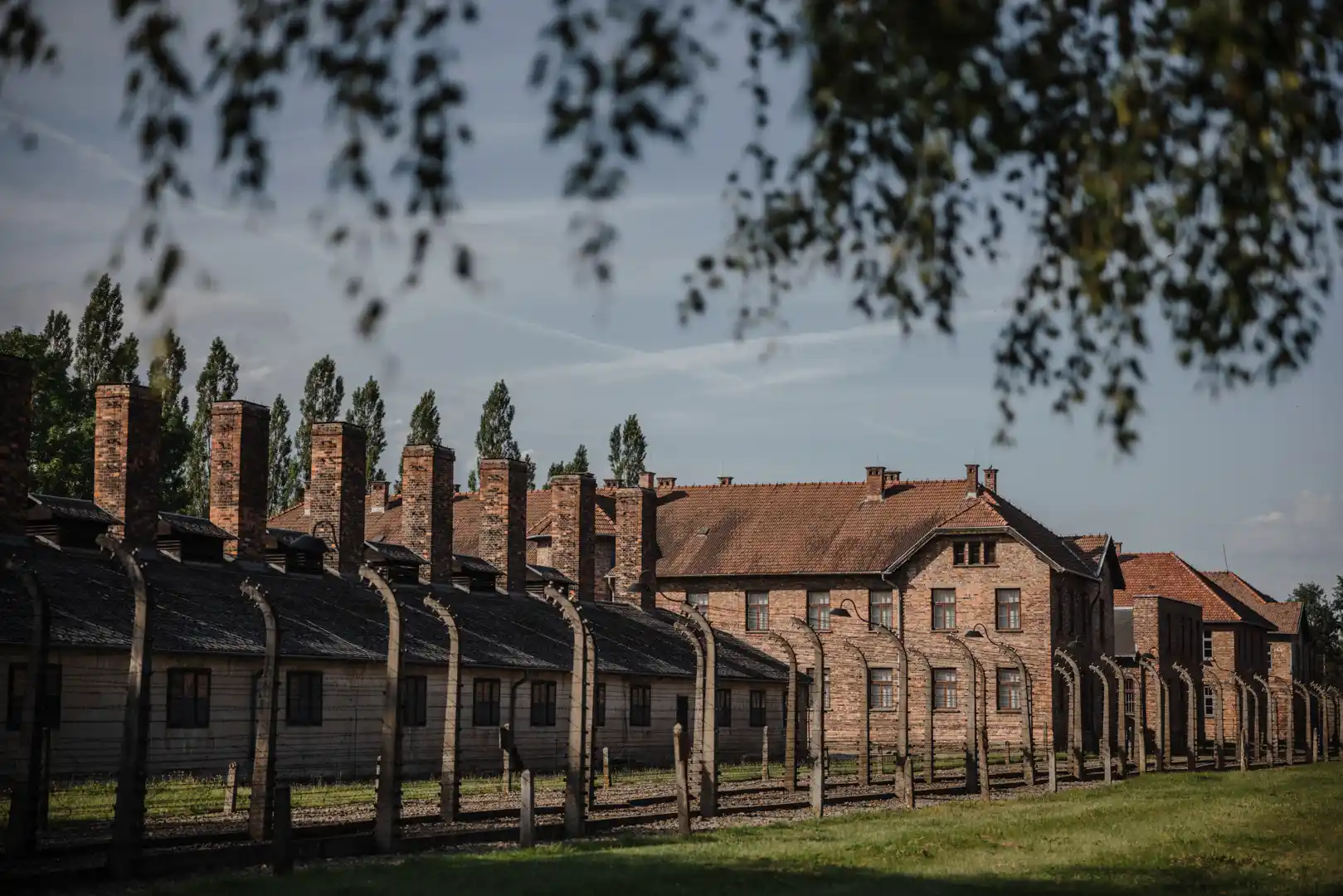 Auschwitz Private Tour photo